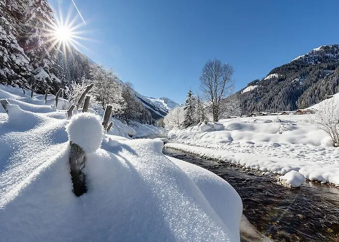 Maximilian Appartement *